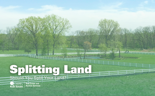 Should you split your land?